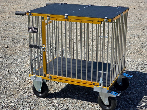 Aztecs Gold Titan anodiseren